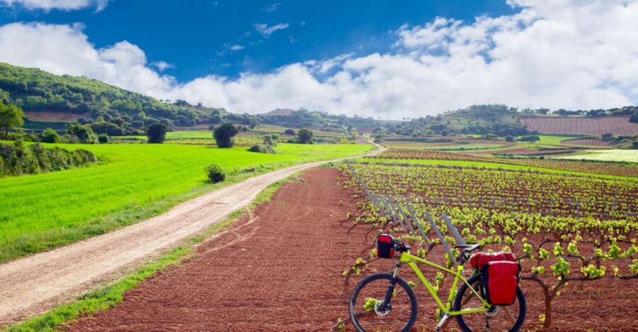 La Rioja: Private Tour to 3 Wineries With Tastings