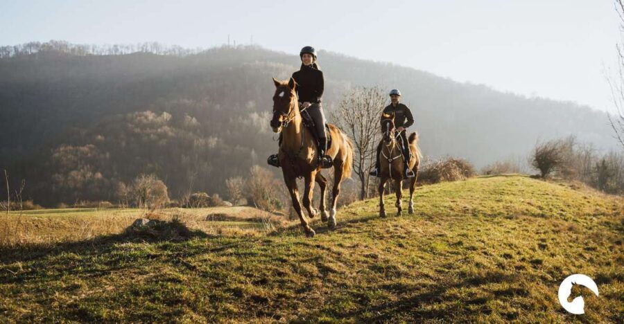 Lake Como: Horseback Adventure & Tasting With Amazing Views - Good To Know
