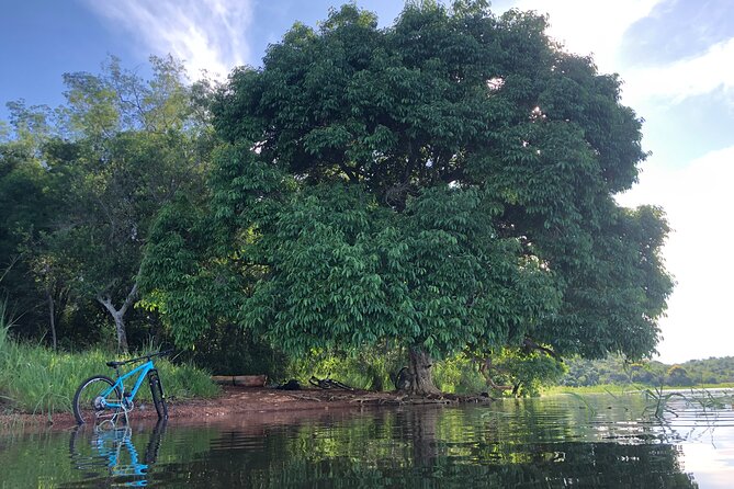 Lake Itaipu Bike Experience: Ride Along the Banks of the Lake