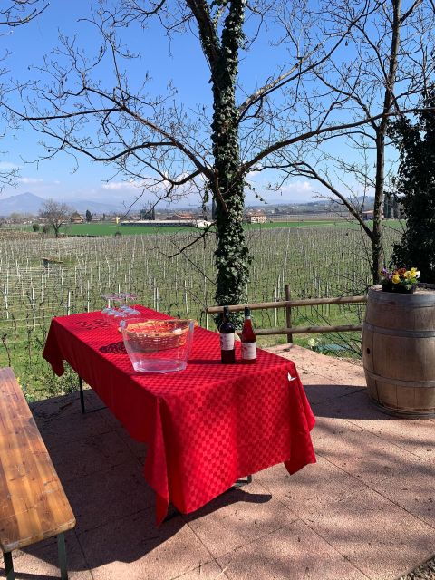 Lazise: Biodynamic Farm Tour and Natural Wine Tasting - Experience Highlights