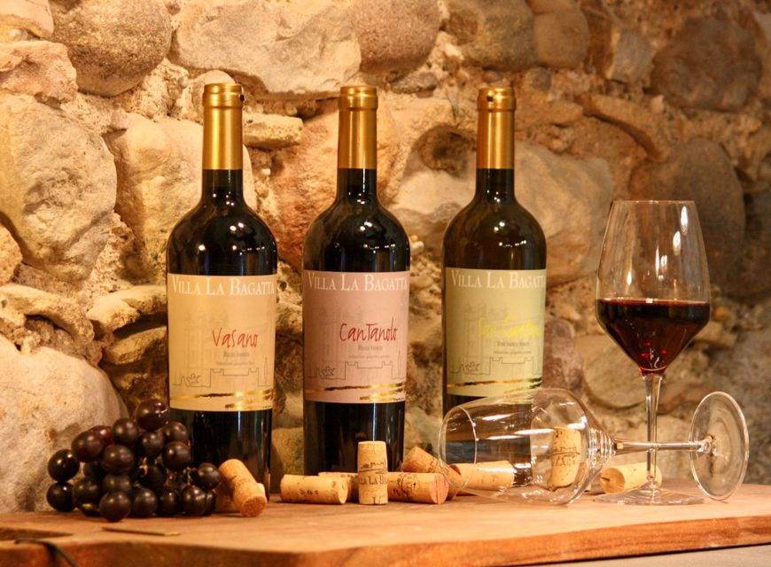 Lazise: Guided Wine Tour With Lake Views at a Historic Villa