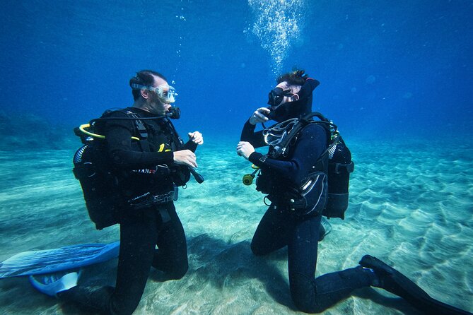 Learn Scuba Diving in Tenerife With Photos Included