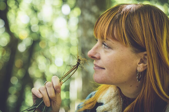 Learn to Forage in Llangollen