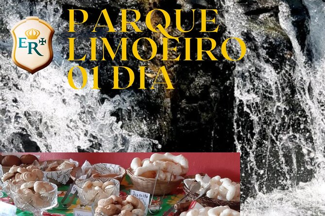 Limoeiro Park for 1 Day