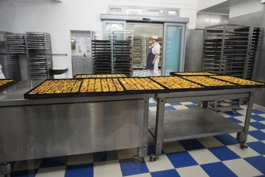 Lisbon: 4 Hours Comprehensive Tour in a Tesla - Good To Know