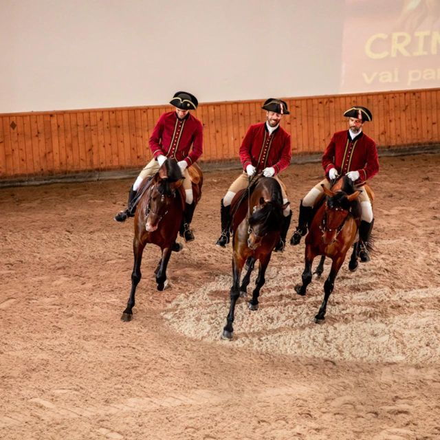 Lisbon: Portuguese Riding School Trainig With Lusitano Horse - Good To Know
