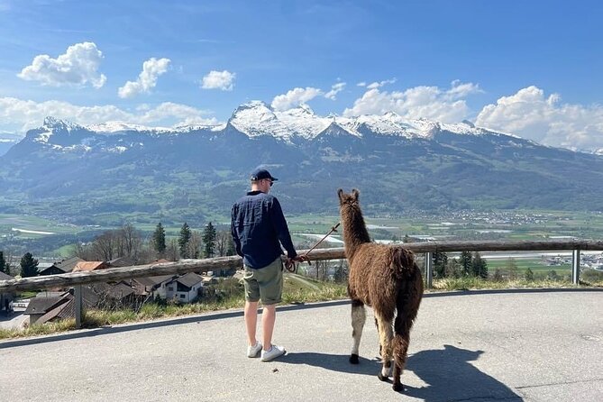Llama Hike With Homemade, Traditional Cheese Fondue
