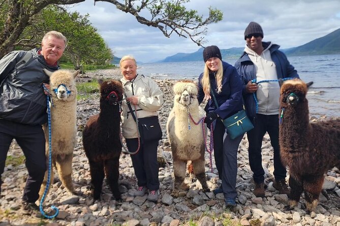 Loch Ness+Alpaca Adventure (inc Invergordon Cruise Port)