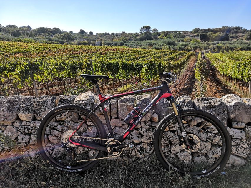 Locorotondo E-Bike Rent