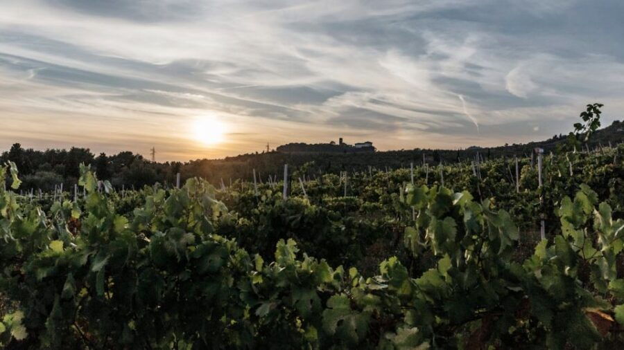 LUCCA HILLS: EBIKE TOUR WITH LUNCH AND WINE TASTING