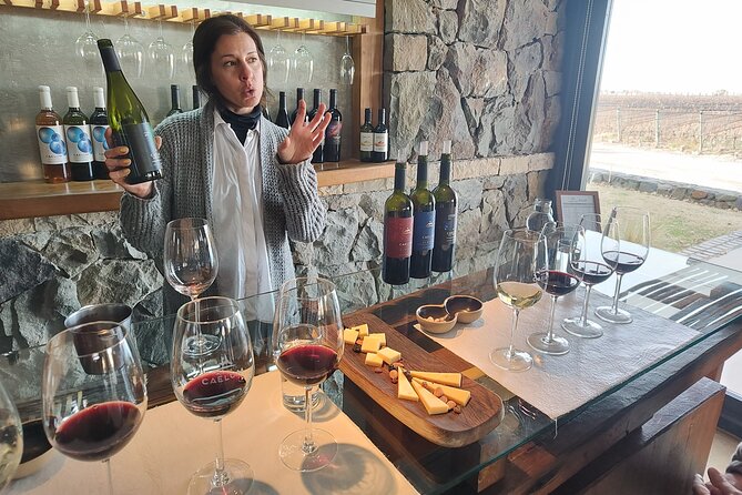 Luján Wine Tasting Guided Experience With Lunch - Good To Know