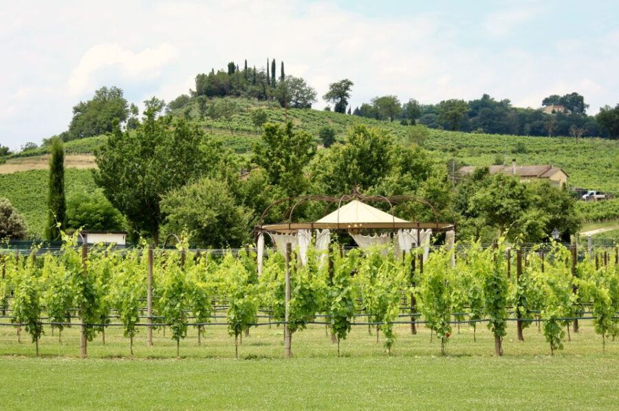 Lunch in the Garden and Wine Tasting