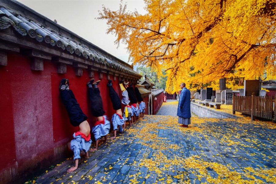 Luoyang Private Day Tour Longmen Grottoes Shaolin Temple