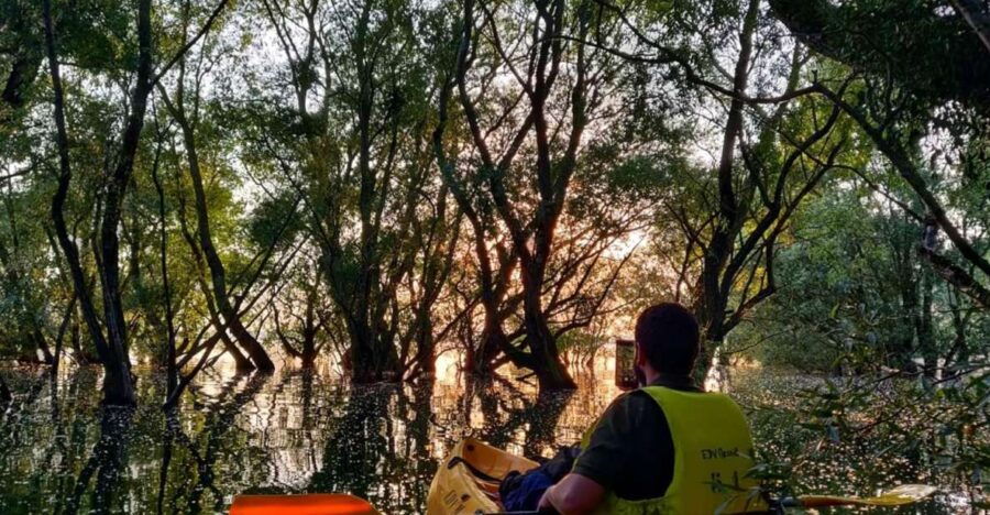 Lusigny-sur-Barse: The Twilight of Bayou Champenois