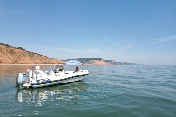 Luxury Private Rib Tour to Babbacombe Bay From Exmouth Marina
