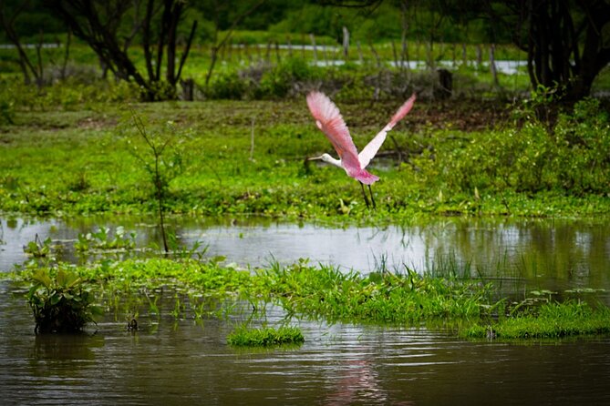 Magdalena River Safari – 6 Hours