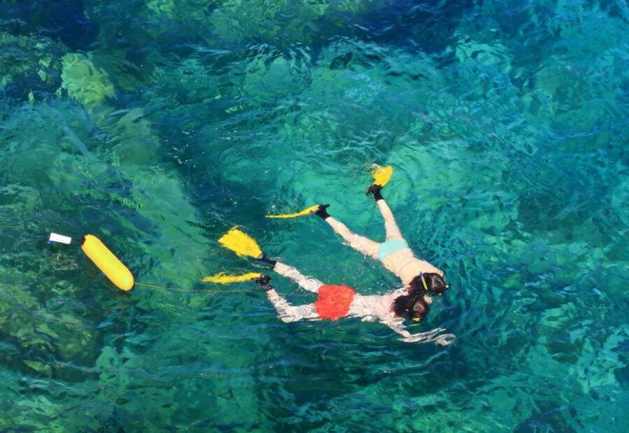 Maio: Reef Snorkeling