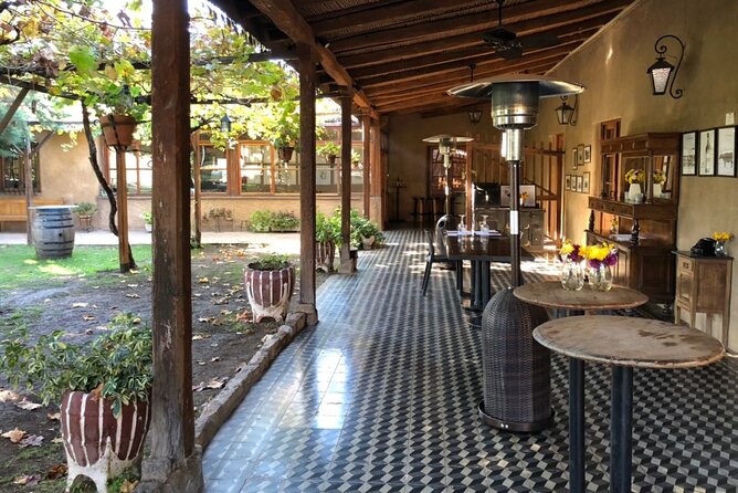 Maipú Wine and Olive Oil Tour