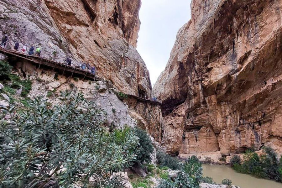 Málaga or Rincón De La Victoria: Caminito Del Rey Day Trip