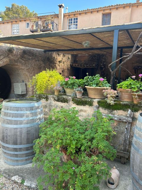 Mallorca: Full-Day Winery Tour With a Sommelier