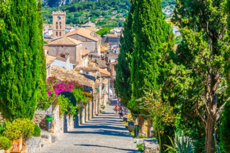 Mallorca: Instafamous Tour of Palma and North Coast - Tour Highlights