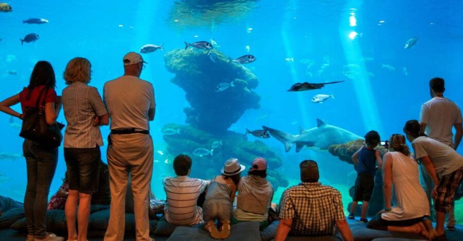 Mallorca: Palma Aquarium Tickets With Transfer - Good To Know
