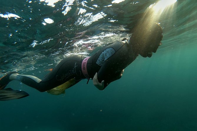 Malta Sunset Snorkeling - Good To Know