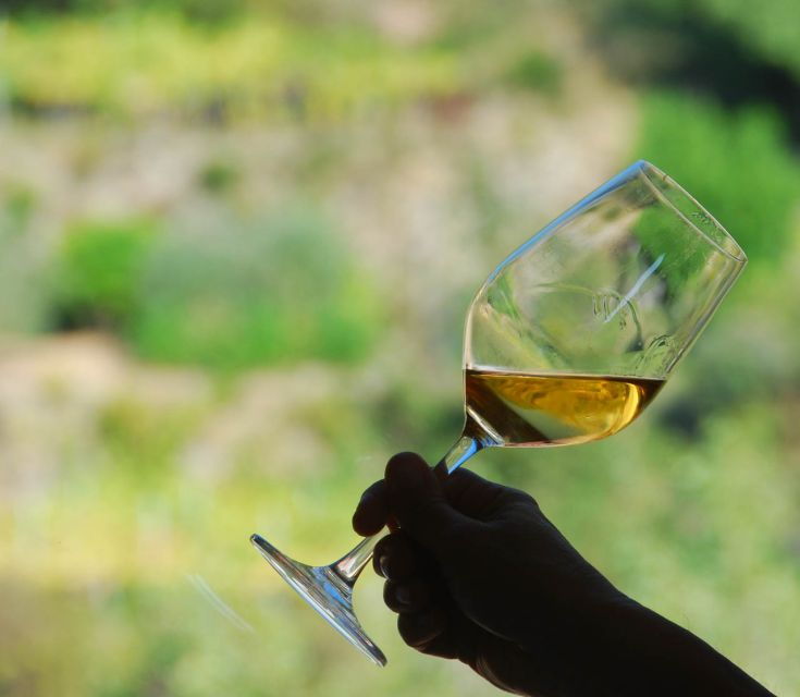 Manarola: Cinque Terre Wine Tasting
