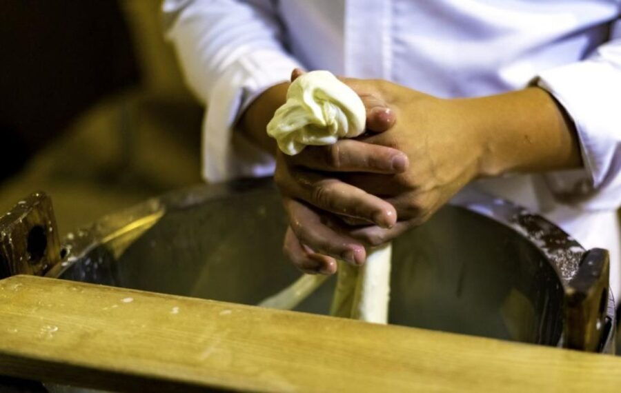 Matera Cheese Making Class: Be a Real Dairy Man for a Day!