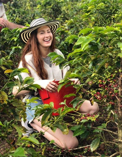 Medellín Coffee Farm Tour With Trolley and Cable Car Ride - Customer Reviews