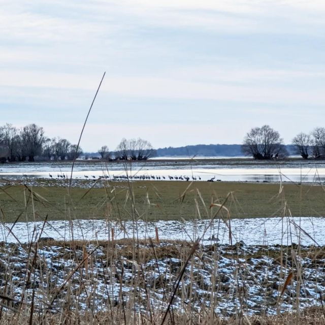 Mesnil-Saint-Père: Under the Wings of Birds Experience - Good To Know