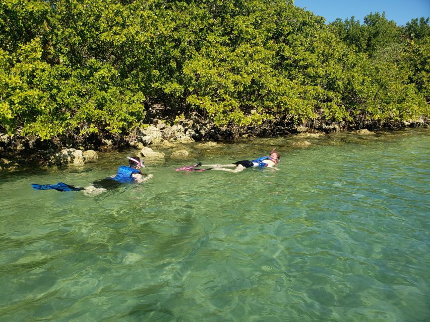 Miami: Beginner-Friendly Island Snorkeling by SUP or Kayak - Activity Overview