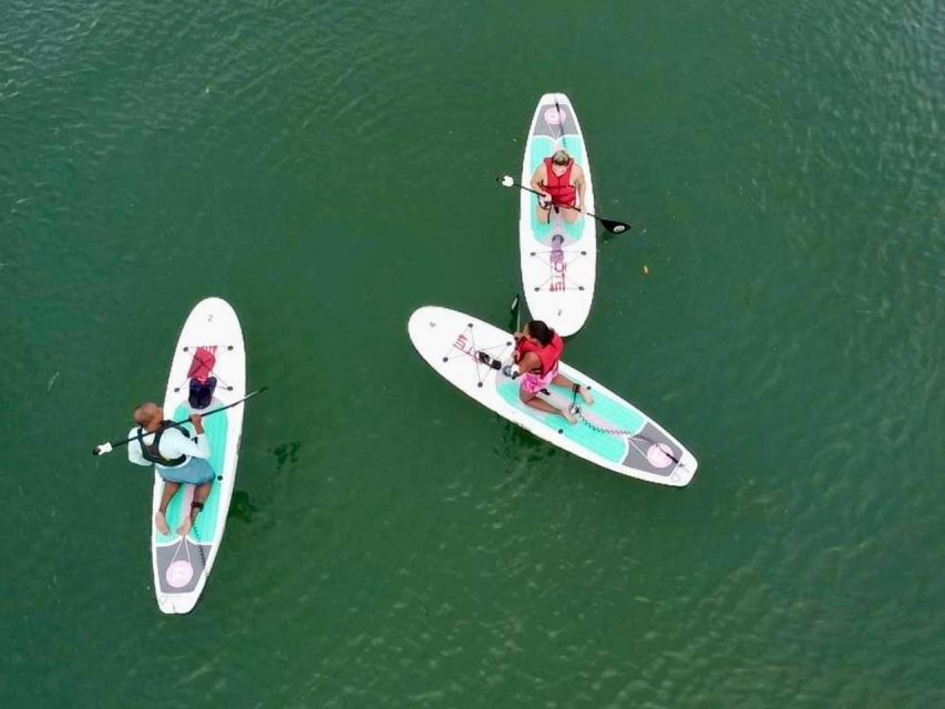 Miami: Paddle Board or Kayak Rental in Virginia Key - Activity Overview
