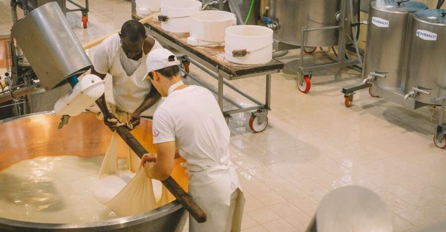 Modena: Parmesan, Balsamic Vinegar, Lambrusco Tour + Lunch