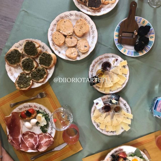 MOLISE TRUFFLE HUNTING WITH FOOD TASTING