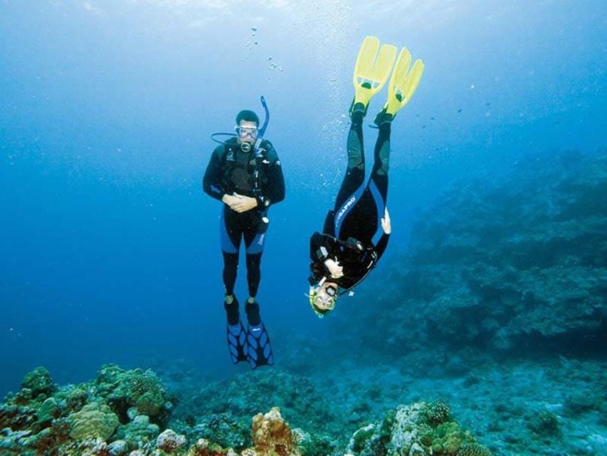 2 Best Scuba Diving Experiences In Monopoli