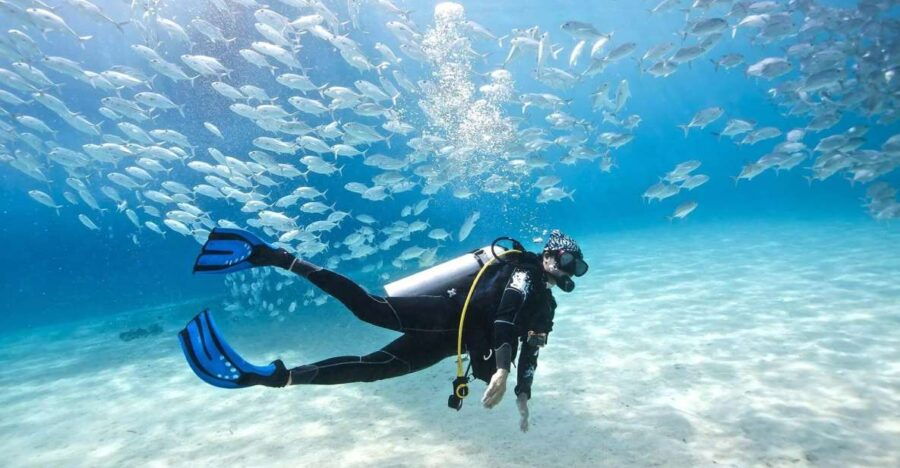 Monopoly: Scuba Diving in Cala Incina and Porto Alga - Whats Included