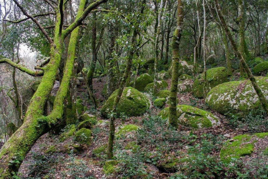 Monte Tiniterra: Guided Hiking Tour - Booking Information