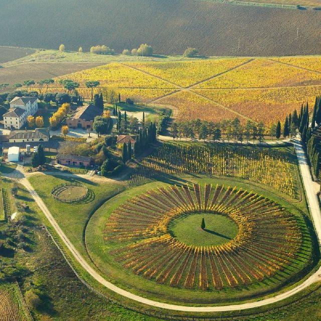 Montepulciano: Tuscan Winery Tours With Wine Tastings