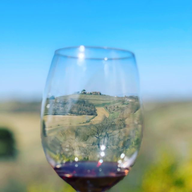 Montepulciano: Wine Tour and Tasting