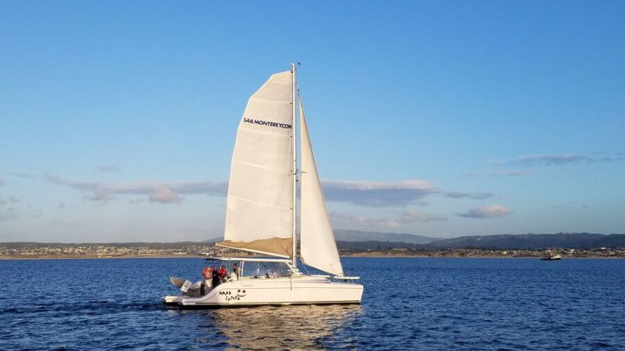 2 Best Sailing Experiences In Monterey