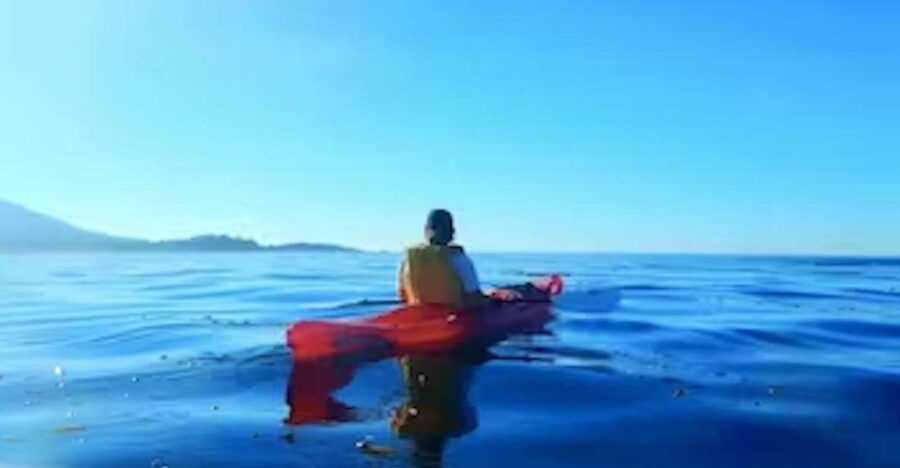 Monterey: Pebble Beach Kayak Tour - Good To Know