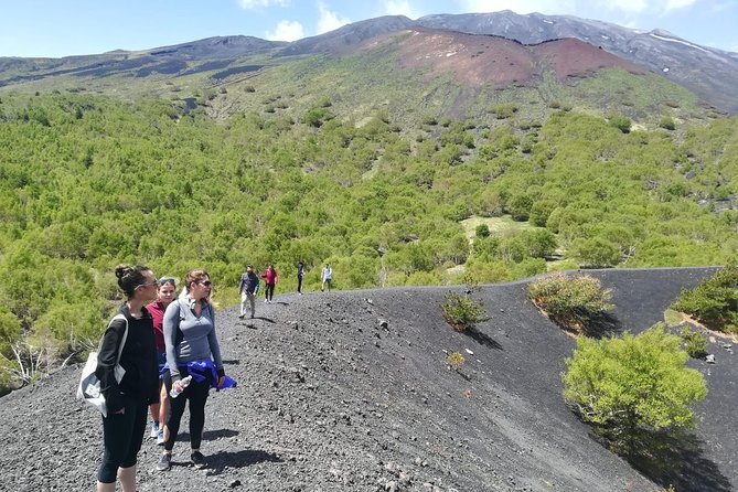 Mount Etna Half-Day Tour - Small Groups From Taormina - Good To Know