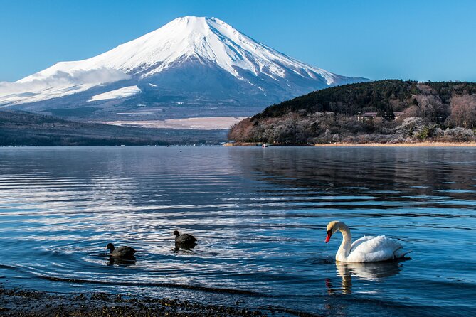 Mount Fuji/Hakone/Tokyo Private Charter Car Tour 10 Hours