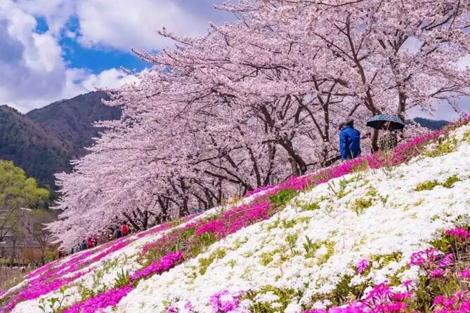 Mt. Fuji Day Tour From Shinjuku in Tokyo Japan