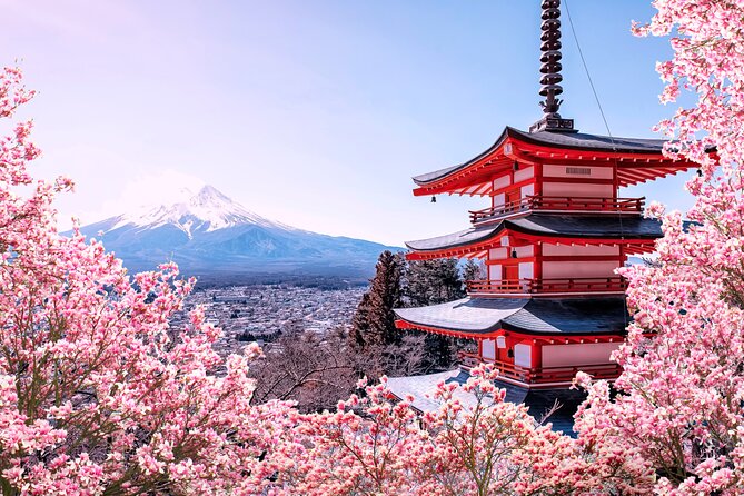 Mt Fuji Kawaguchi/Hakone/Yokohama Tokyo Customize Private Car