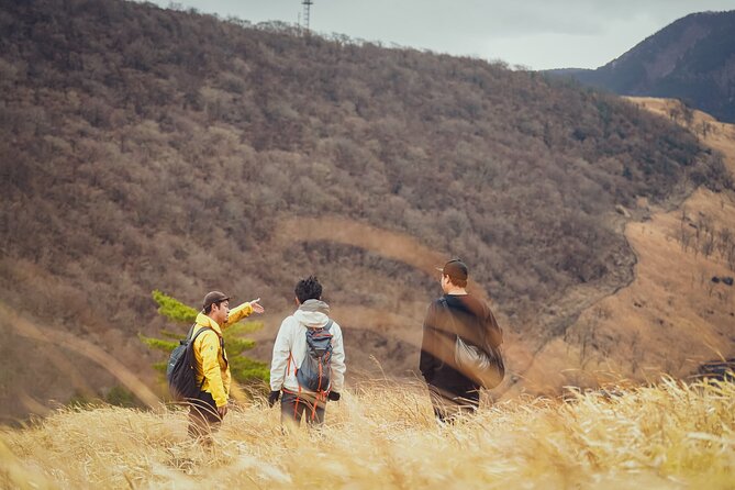 Mt. Yufu Grassland Private Hiking and Lunch