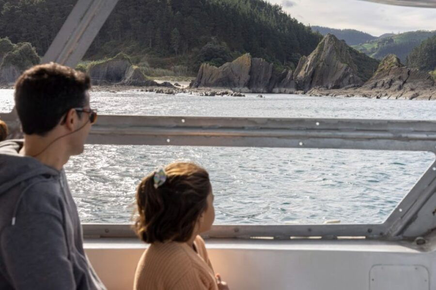 Mutriku: Nautilus Flysch Fossils Experience - Experience Details