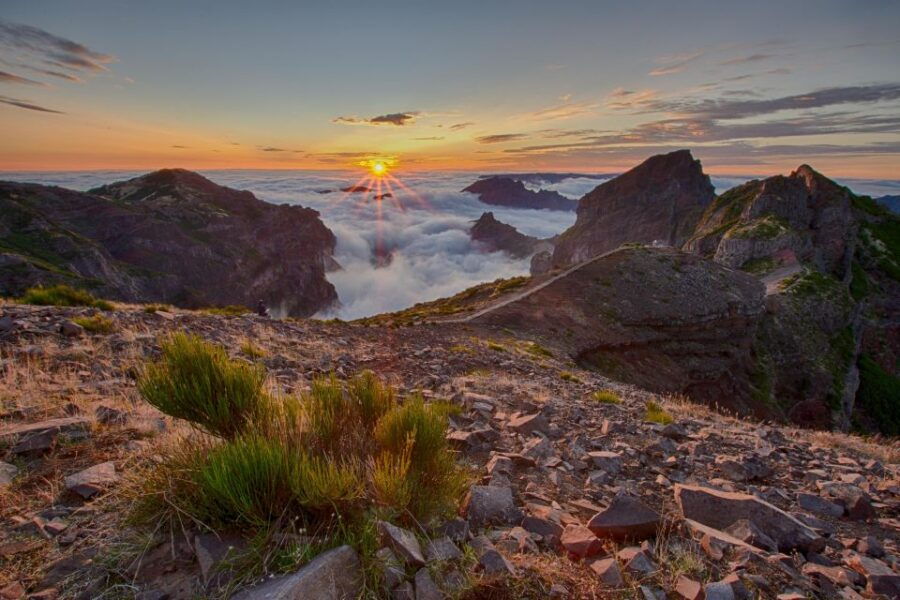 My Next Adventure: Full Day Tailored Madeira 4×4 Exploration