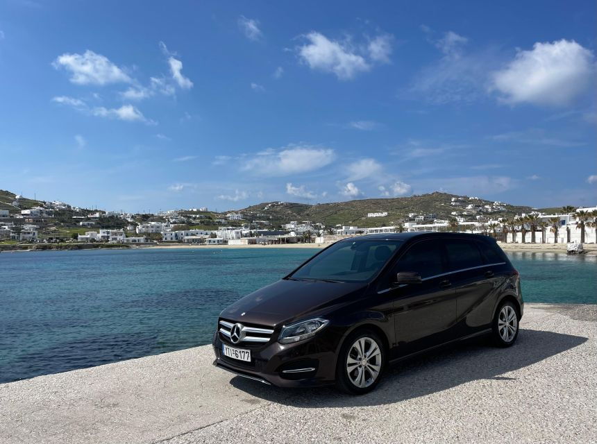 Mykonos in a Day: a 4-Hour Private Island Tour